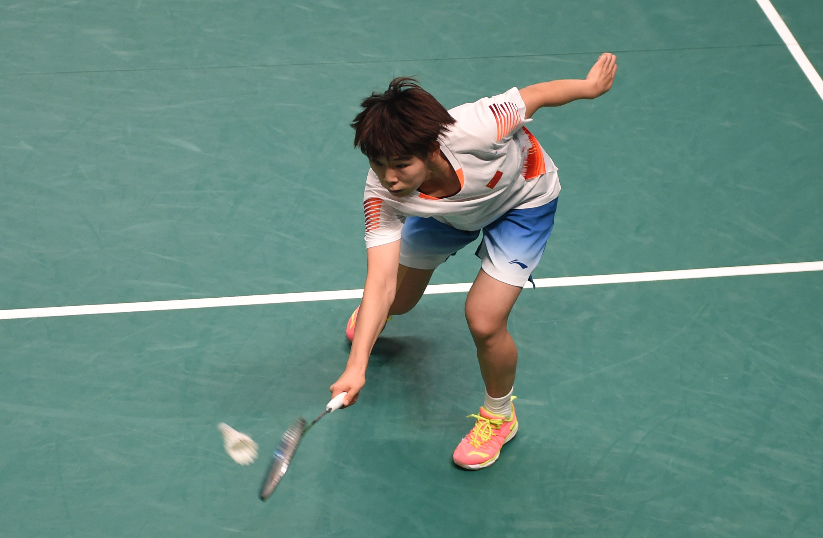 并不罕见 并不罕见