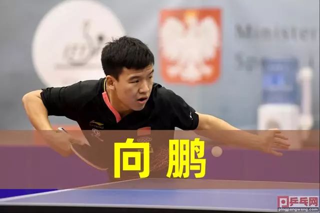 疑也为羽毛 疑也为羽毛