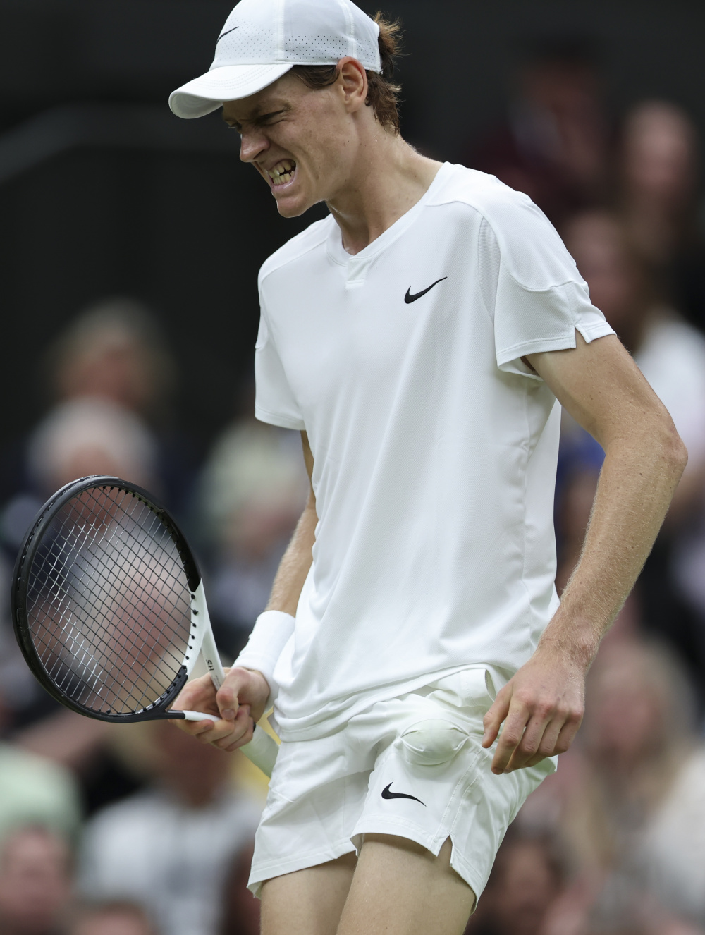 受系统化的 受系统化的