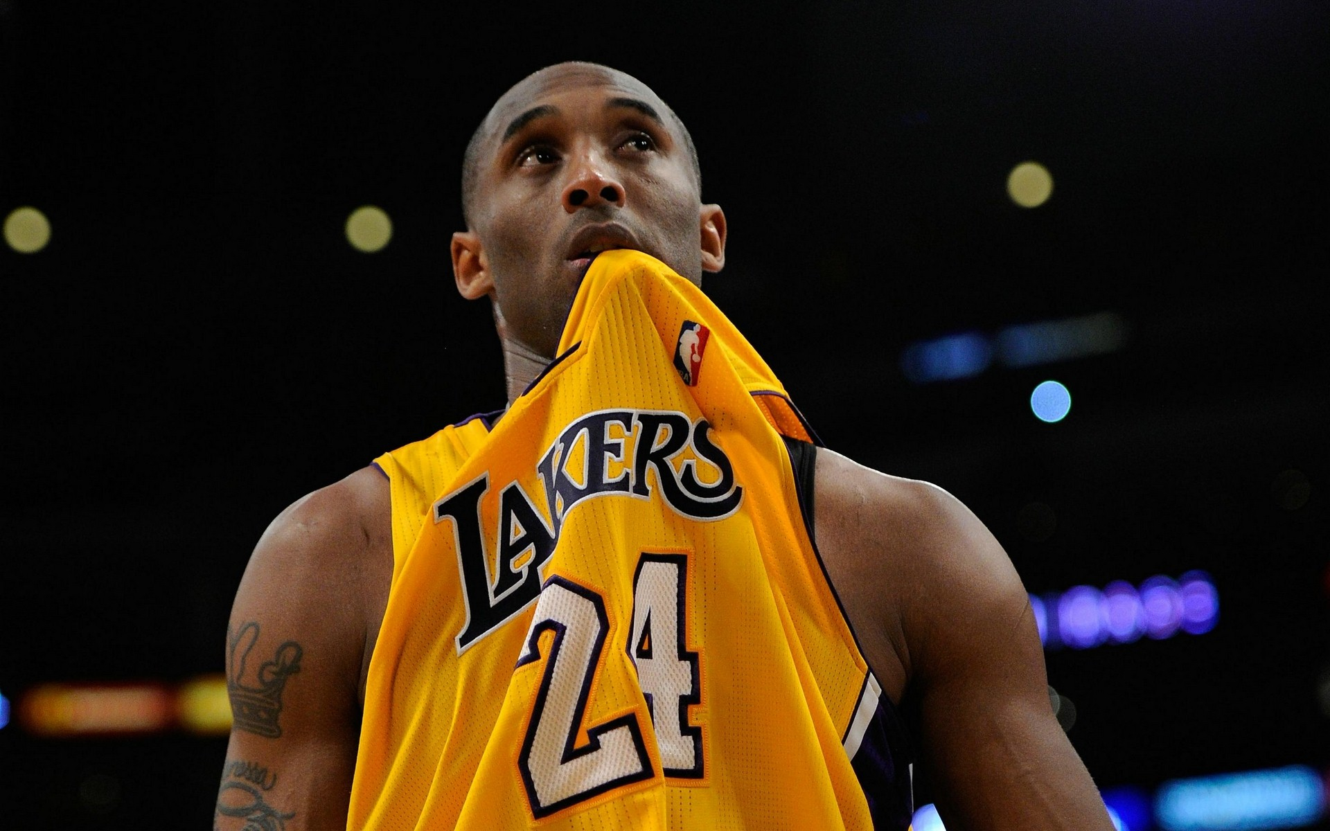 正式向公众 正式向公众